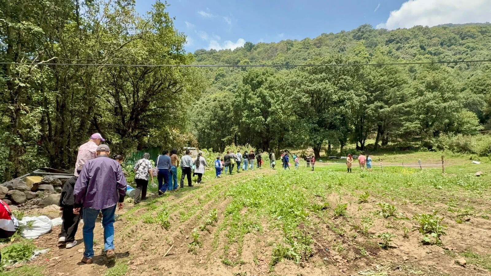 Estudiantes recorriendo los surcos de cultivo durante una práctica de campo